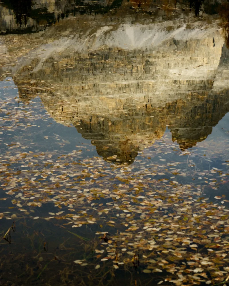 Herbstblätter und Spiegelungen im Wasser